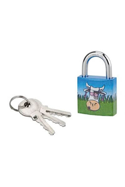 THIRARD Padlock with key, CH'TIOTE MEUH 5, 30 mm,