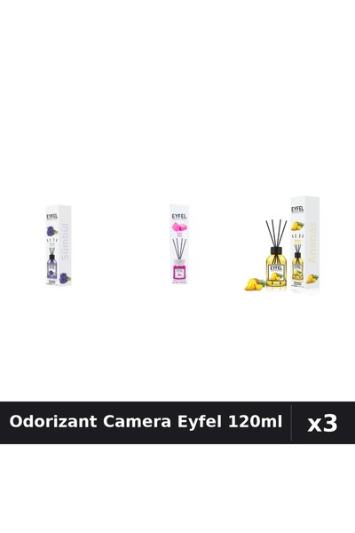 Eyfel Top Bottom Set of 3 Room Air Fresheners with Sticks - Hyacinth, Bubble ...