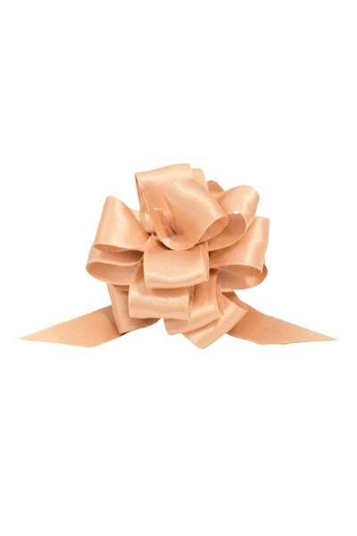 BRIZZOLARI Satin self-forming bow salmon