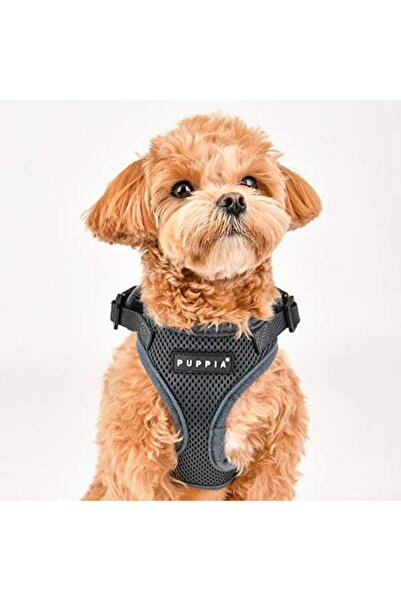 Yıldızan Terra Organik Authentic Puppia Ritefit with Adjustable Neck, Black, ...