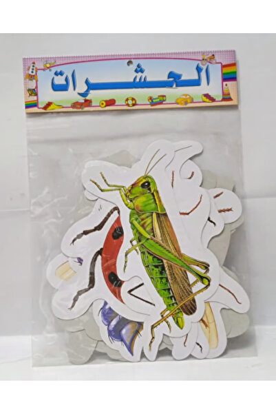 Educational Cut-out Pictures - Insects