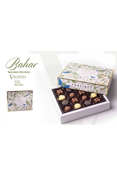 Store 190gr SPESİYAL (PELİT VALONIA) ÇİKOLATA KUTU
