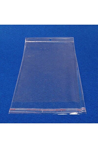 OEM Plastic Bags Packed 100/ Top Bottom Set 30x40