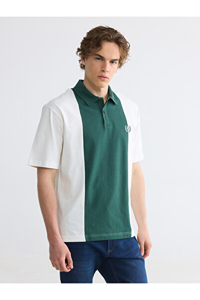 LC Waikiki Vizyon New Season Polo Neck Color Blocked Men's T-Shirt