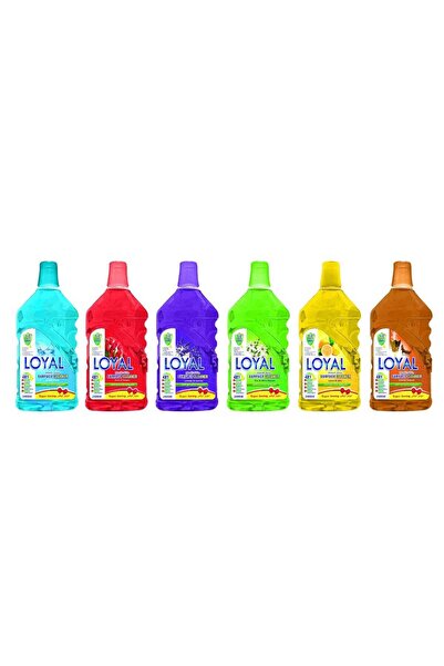 Loyal Surface Cleaner 4 In 1 2400ml, Pack Of 6