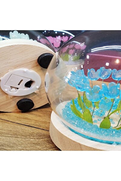 HERBALACCESSORY 🌷 Led Işıklı Lale Cam Fanus – Dekoratif Gece Lambası & Hediy...