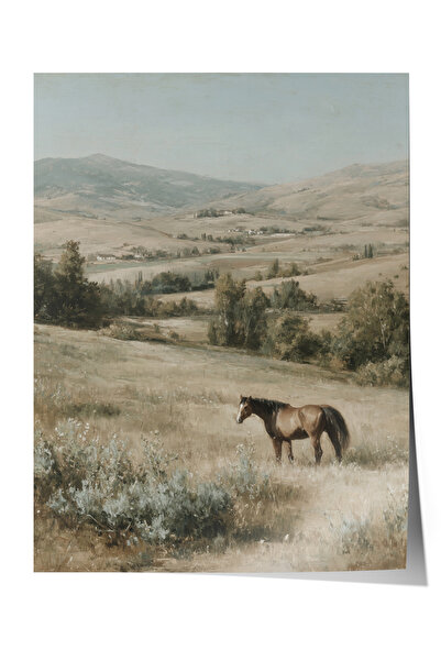 Zestia Poster de perete vintage, Poster Calul Negru în Valea Verde Nr.: 20153