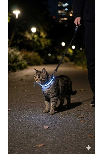 PATİZİSHOP Led Illuminated Cat & Dog Collar |   Size m