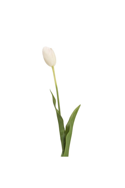 Midas Furniture ARTIFICIAL PLANT 82CM WHITE
