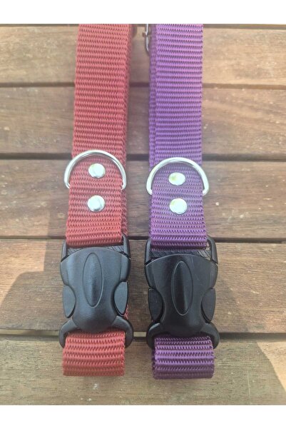 Loyal Friend Store köpek boyun tasma ikili set 45-65 cm arası boyun