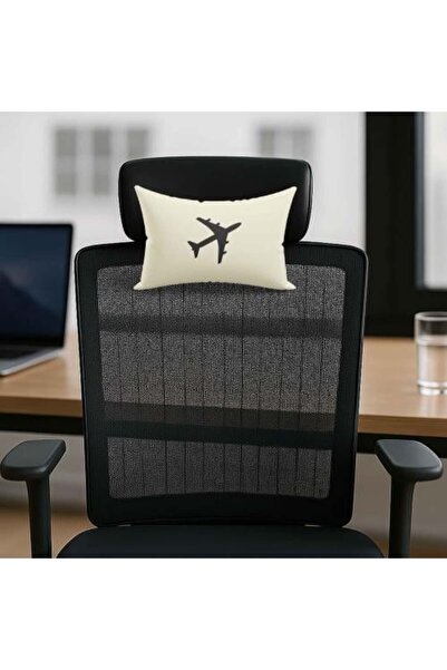 Bahgeti Office Chair Cushion for Aviation Profession - Aircraft Piloting - Ae...