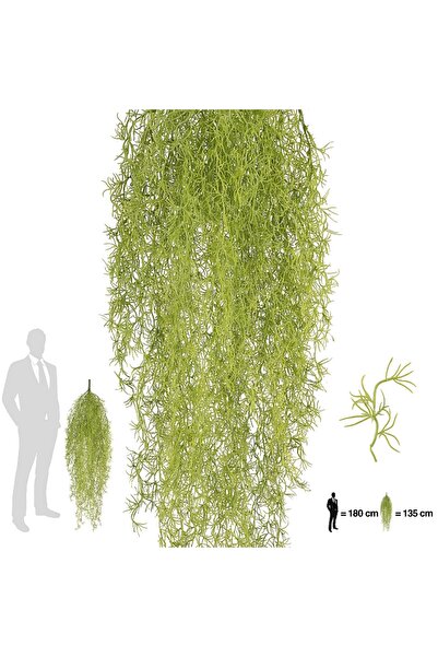 Roberto Rossi Planta curgatoare Long hair (tillandsia) 135 cm verde primavara