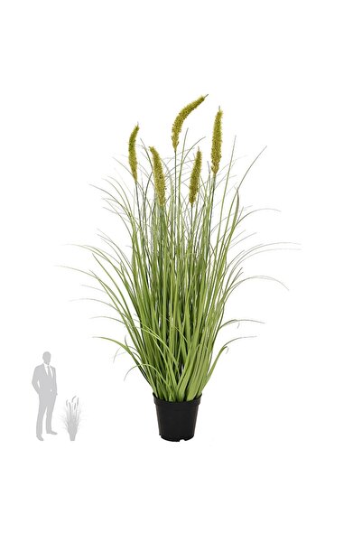 Roberto Rossi Iarba artificiala Onion Cattail 90 cm cu 5 flori verzi
