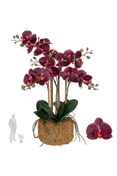 Roberto Rossi Orhidee artificiala grena cu aspect H52 cm cu 5 tulpini