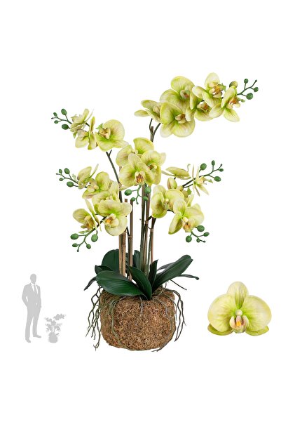 Roberto Rossi Orhidee artificiala verde cu aspect H70 cm cu 7 tulpini