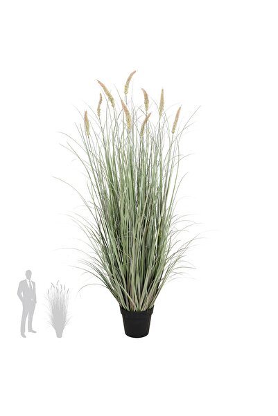 Roberto Rossi Iarba artificiala Onion Cattail 150 cm cu 9 flori roz