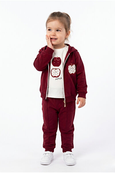 Toontoy Girl's 3-Piece Tracksuit Set Long Sleeve Crew Neck Embroidered T-Shir...