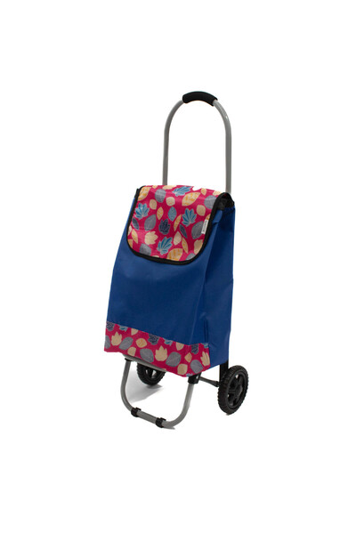 Master Carucior Piata 32x28x87 cm kg albastru