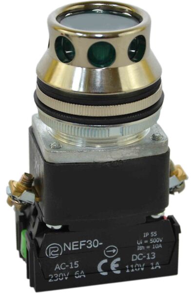 PROMET Buton de comandă 30mm verde cu revenire automată cu iluminare 2Z 24V W...