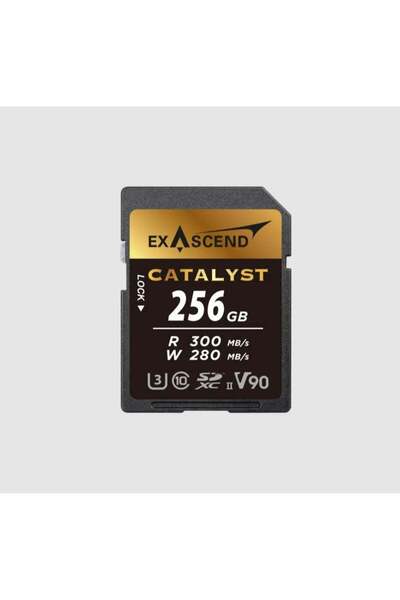 exascend 256 GB SDXC SD Card, Class 10, UHS-II V90
