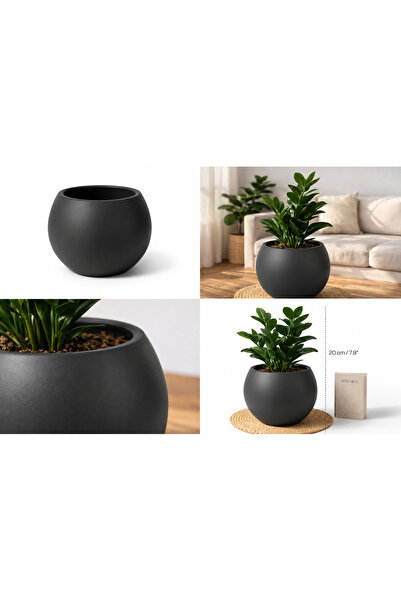 CANBOTANİK Antrasit Küre Saksı 20cm (İç Hazneli) Modern Tasarım Küçük Boy Saksı Premium Kalite Plastik Saksı