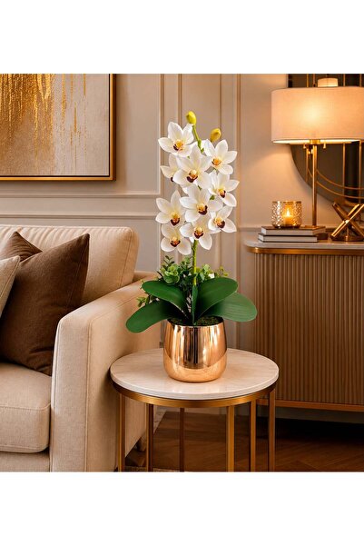 ArzzHome Cezve Saksı Premium Singapur Orkide Aranjmanı Beyaz / Gold