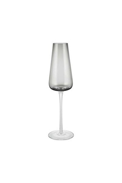 Blomus Set de 2 pahare de șampanie, 200 ml, Blomus, Fumuriu