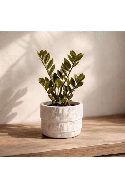 PAN HOME Baron Stoneware Streak Planter 11.5x11.5x10.7cm - Beige