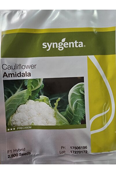 SYNGENTA Amidala Karnabahar Tohumu 2.500 adet