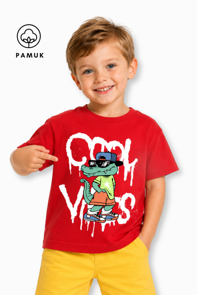 difa kids Cool ležerna letnja majica za dečake sa kratkim rukavima i štampani...
