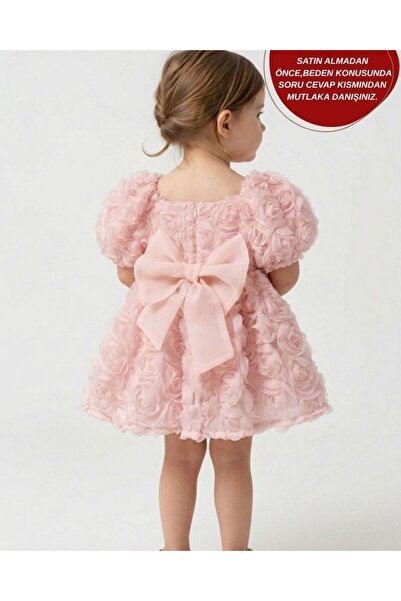 aysskids Rosa2 Fluffy Birthday and Special Occasion Girl's Baby Dress with Roses