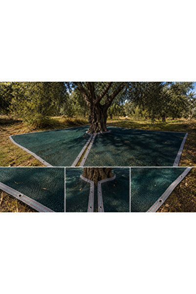 Morilu 6 x 8 M - Zeytin Ağacına Geçirmeli Sergenlik - %75'lik Şeritli Halkalı...