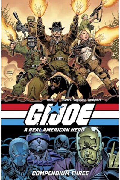 Image Comics Gi Joe A Real American Hero Compendium Vol 3