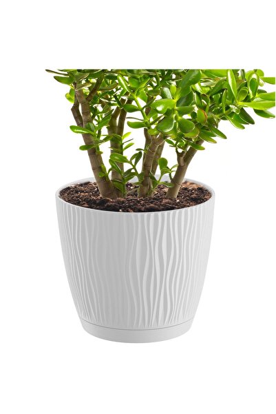 EDANTI Ghiveci rotund cu farfurie Sandy P, 23,9 cm - Alb