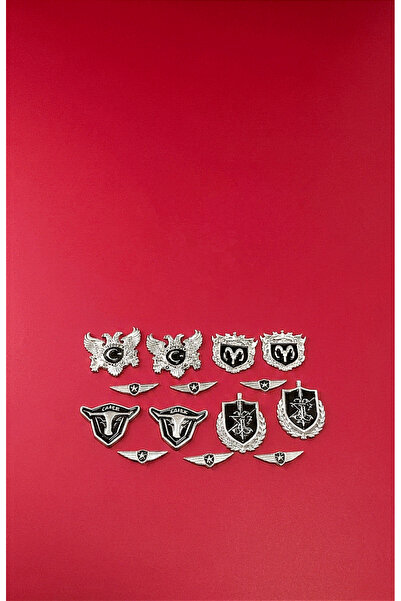 lina oto aksesuar 14 Pieces of Metal with Emblem Tape and Campaign Design, Li...