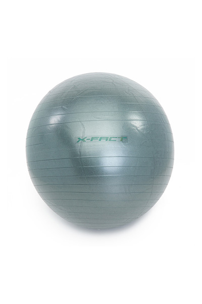 Worqout Míč Minge de gimnastică 65 cm