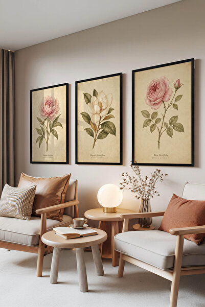 Zestia Set de 3 tablouri cu ramă neagră, ilustrație botanică elegantă cu flor...