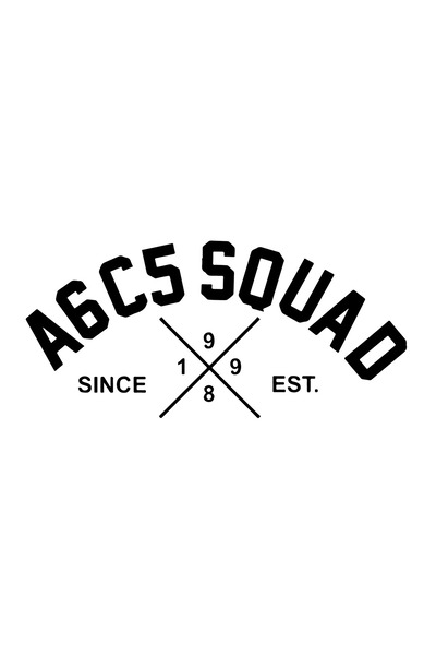 Amo-Stickers Sticker Audi A6C5 SQUAD NEW 2025 40cm Rosu