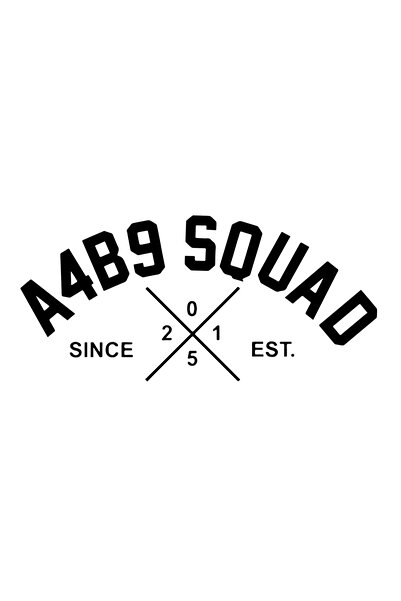 Amo-Stickers Sticker Audi A4B9 SQUAD NEW 2025 40cm Gri inchis