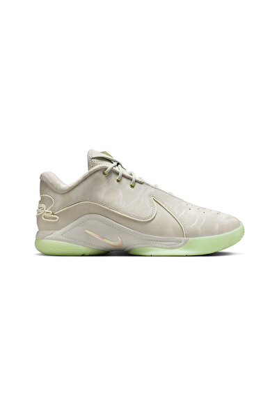 Nike LEBRON XXII FZ1094-002 Πολύχρωμο 44