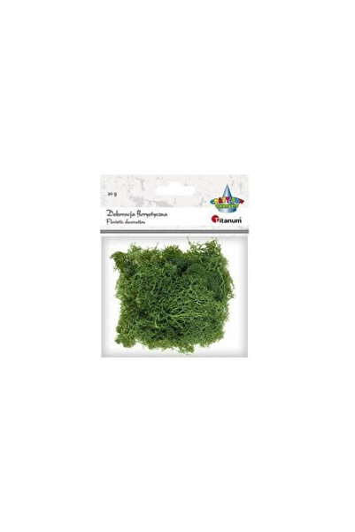 OEM Muschi decorativ Titanum, pentru modele, textura naturala, Verde inchis, ...