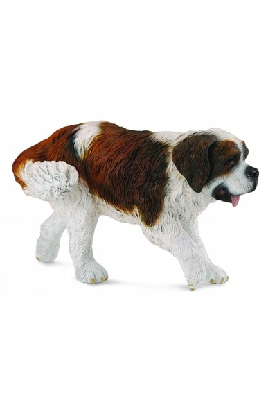 OEM Saint bernard - collecta