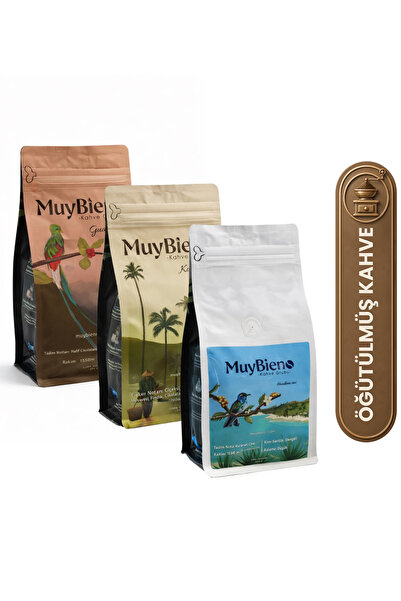 mb Muybieno Popular Ground Filter Advantage Package 3X250 g