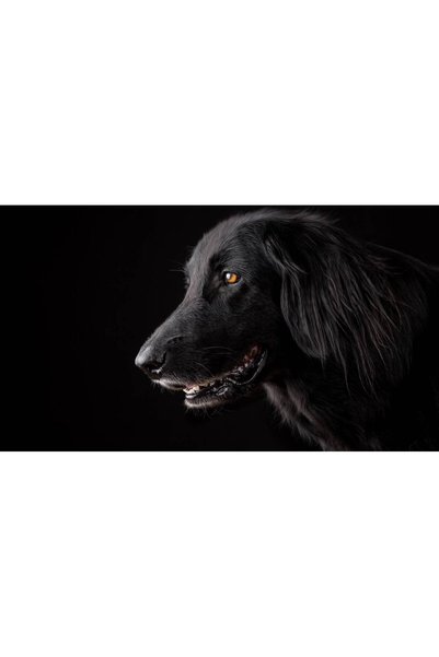 Persona Tablou canvas 100 x 70 cm, Catei model 62