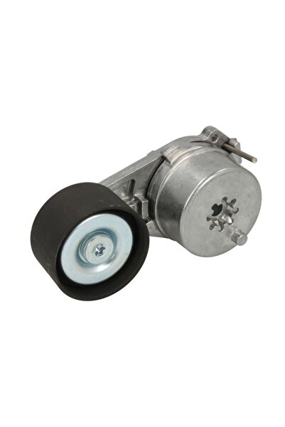 FEBI BILSTEIN Intinzator,curea accesorii Rvi C K T Volvo Fm Ii Fm Iii Fmx Ii ...