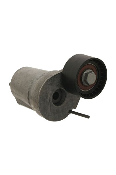 FEBI BILSTEIN Intinzator,curea accesorii Bmw 1 (e81) 1 (e82) 1 (e87) 1 (e88) ...