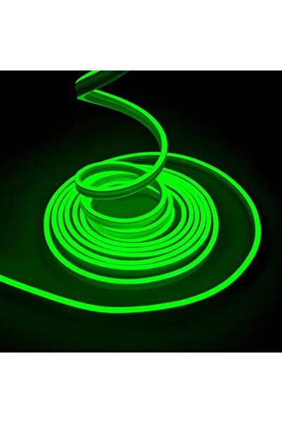 festive 12V LED Neon Rope light,16.4ft/5M for Kitchen Bedroom Indoor Outdoor ...