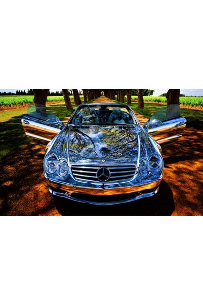 Persona Tablou canvas model Auto, 100 x70 cm, 189