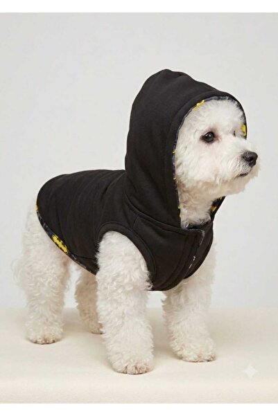 atelyu Cat Dog Clothing Wind Rain Proof Raincoat Suitable for Male
