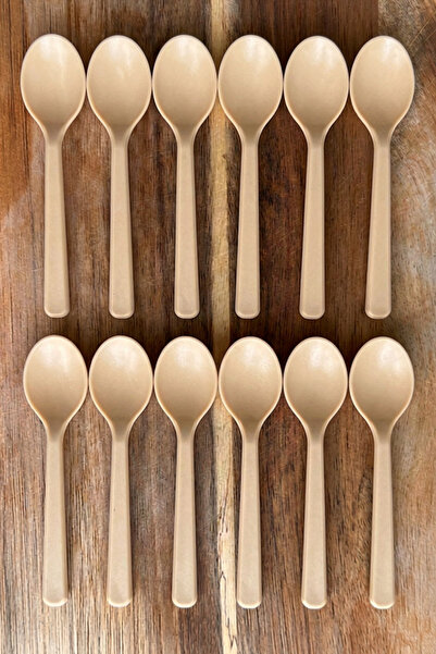SUPERPUP Sweet Spice Picnic Ice Cream Spoon 12 Pieces